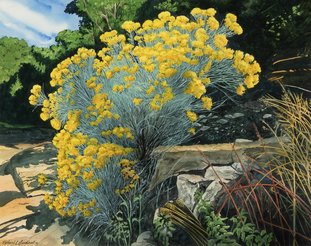 Richard Cresencio Sandoval, Chamisa Begone, 2002