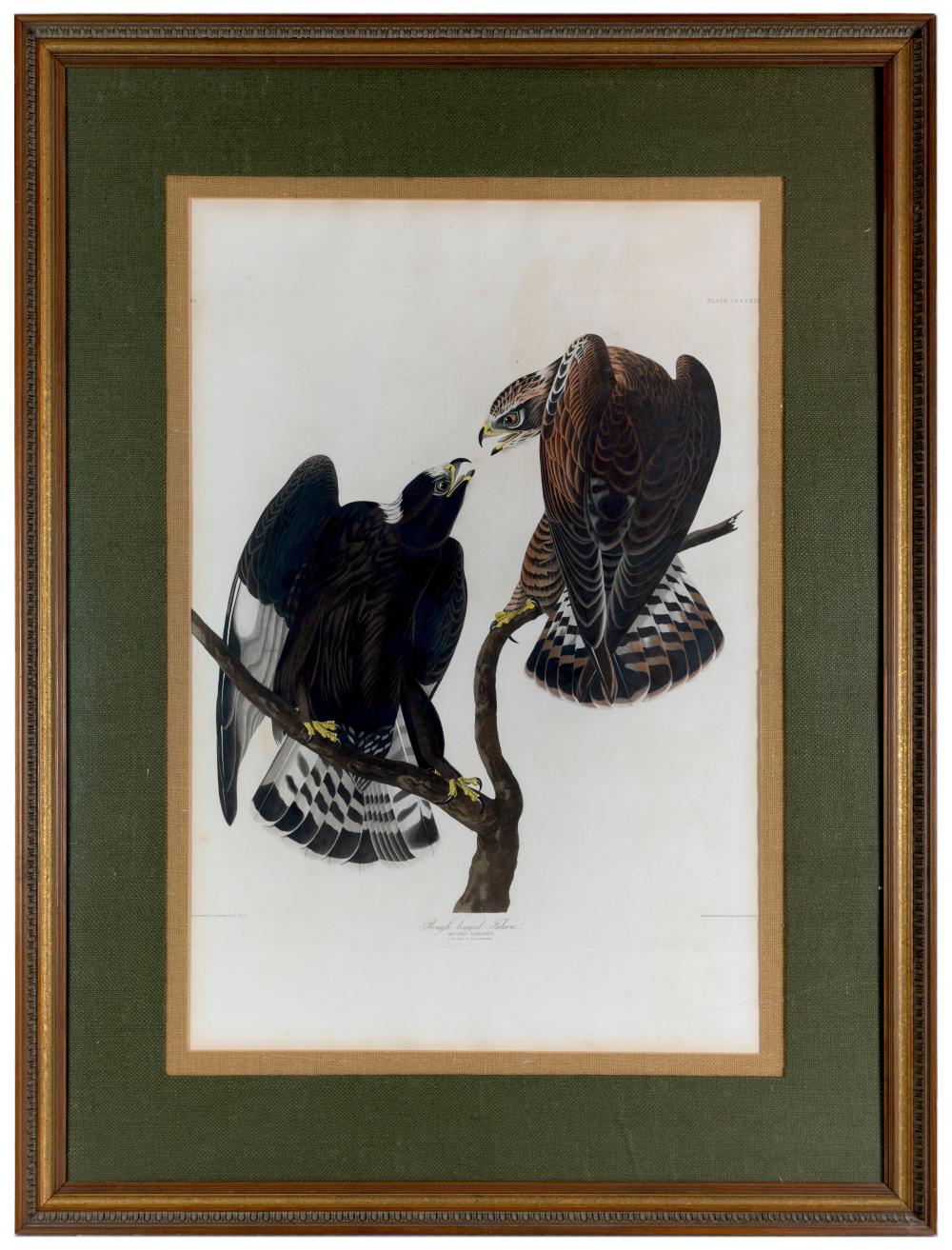 AN AUDUBON HAND COLORED AQUATINT OF THE ROUGH-LEGGED FALCON