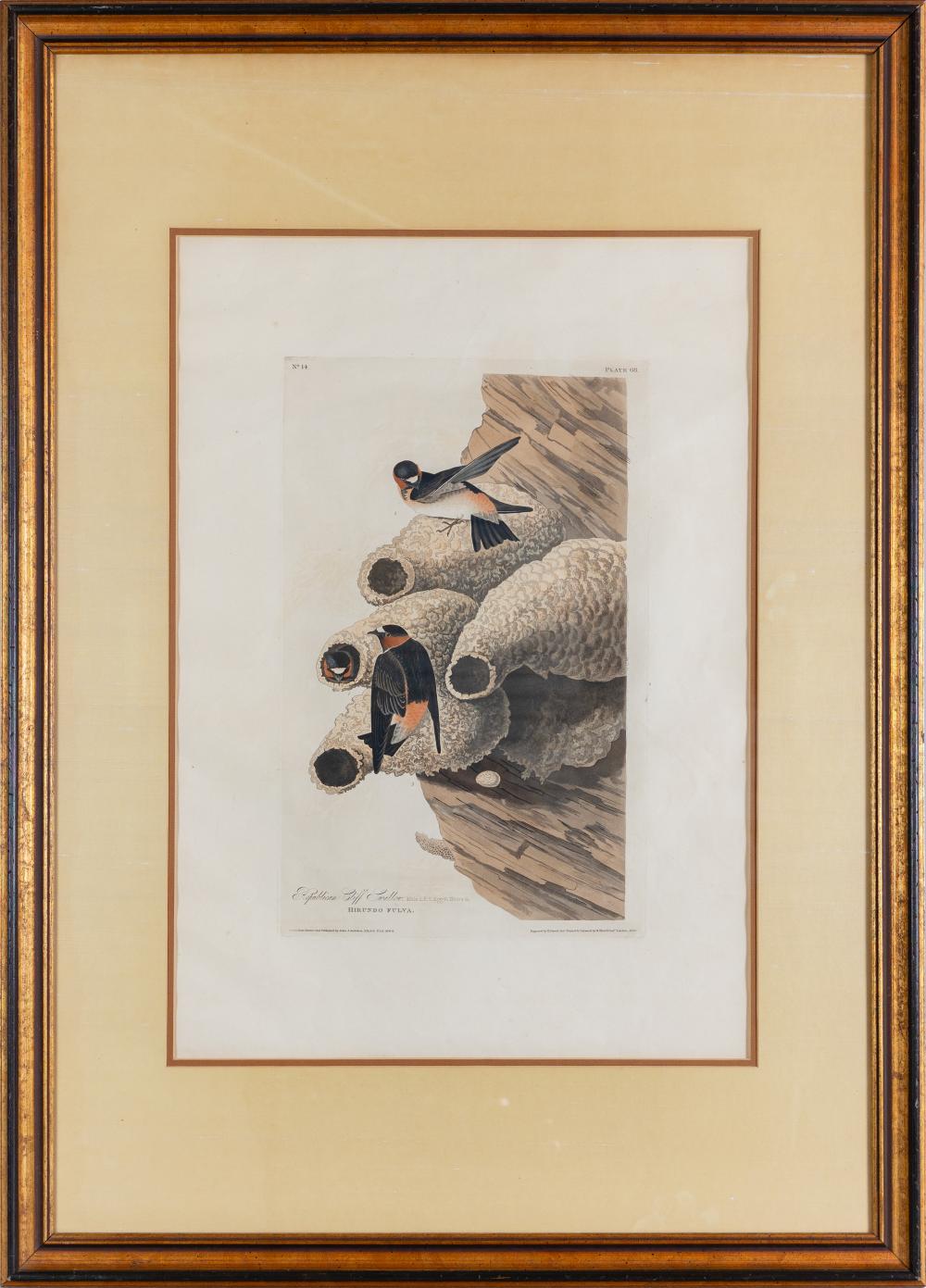 AN AUDUBON HAND COLORED AQUATINT OF THE REPUBLICAN CLIFF SWALLOW