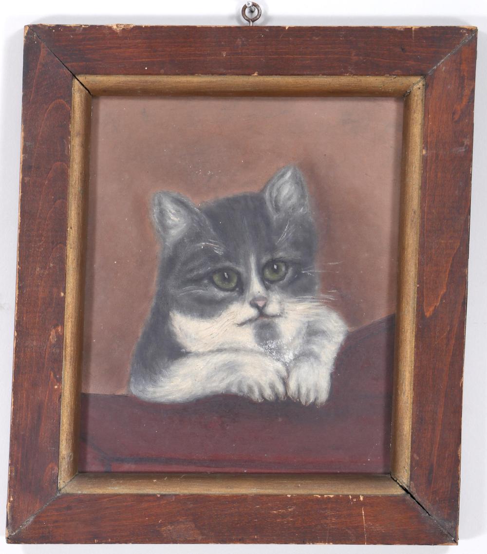 American School (19th Century), Cat Portrait, oil on tin