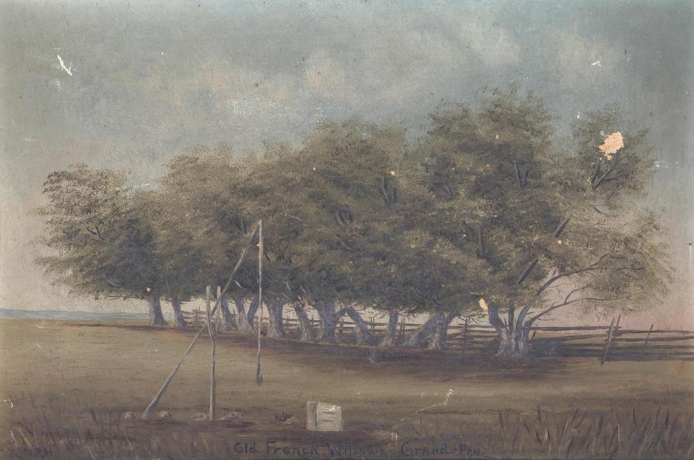 Canadian School (19th Century), "Old French Willows, Grand Pre" (Nova Scotia), oil on canvas