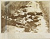 Previous image preload