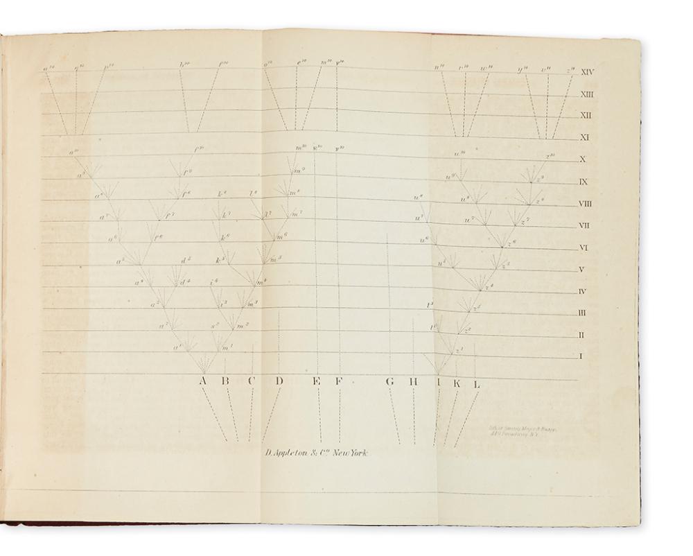 (NATURAL HISTORY.) Darwin, Charles. On the Origin of Species by Means of Natural Selection.