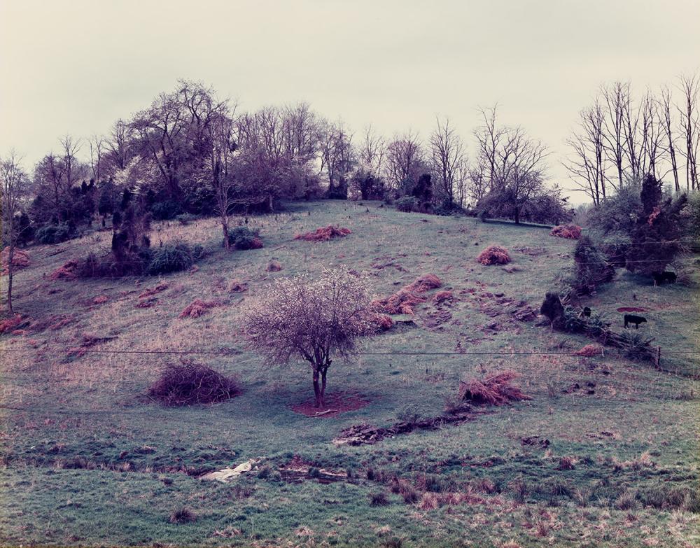 JOEL STERNFELD (1944- ) Meadowview, Virginia. May 1983; printed 1987.