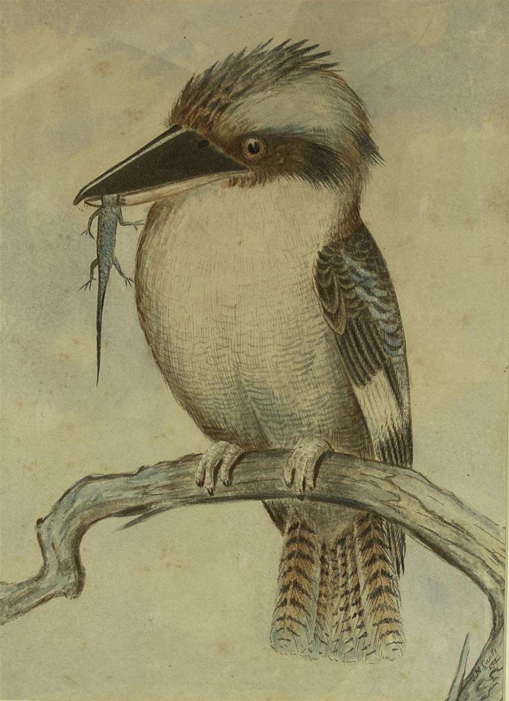 John Mitchell Cantle (1849-1919) Kookaburra & Catch 1894 Watercolour