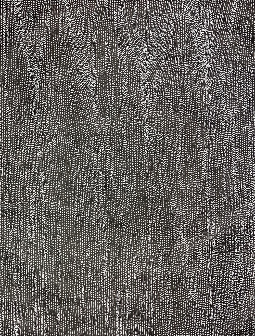 Dorothy Robinson Napangardi, Warlpiri (1956-2013), Mina Mina 2012, Acrylic on Belgian linen