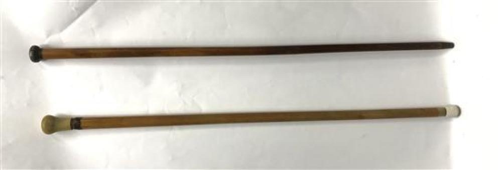 Two Walking Canes, one with Sterling Silver Knob, London, 1900, the Other Horn