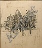 Image_6