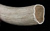 image_1