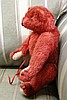 Image_17