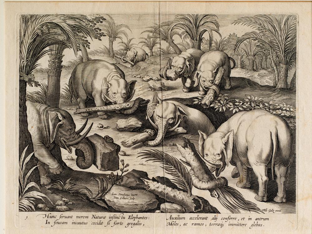 Jan van der Straet, Called "Stradano, 1523 - 1605