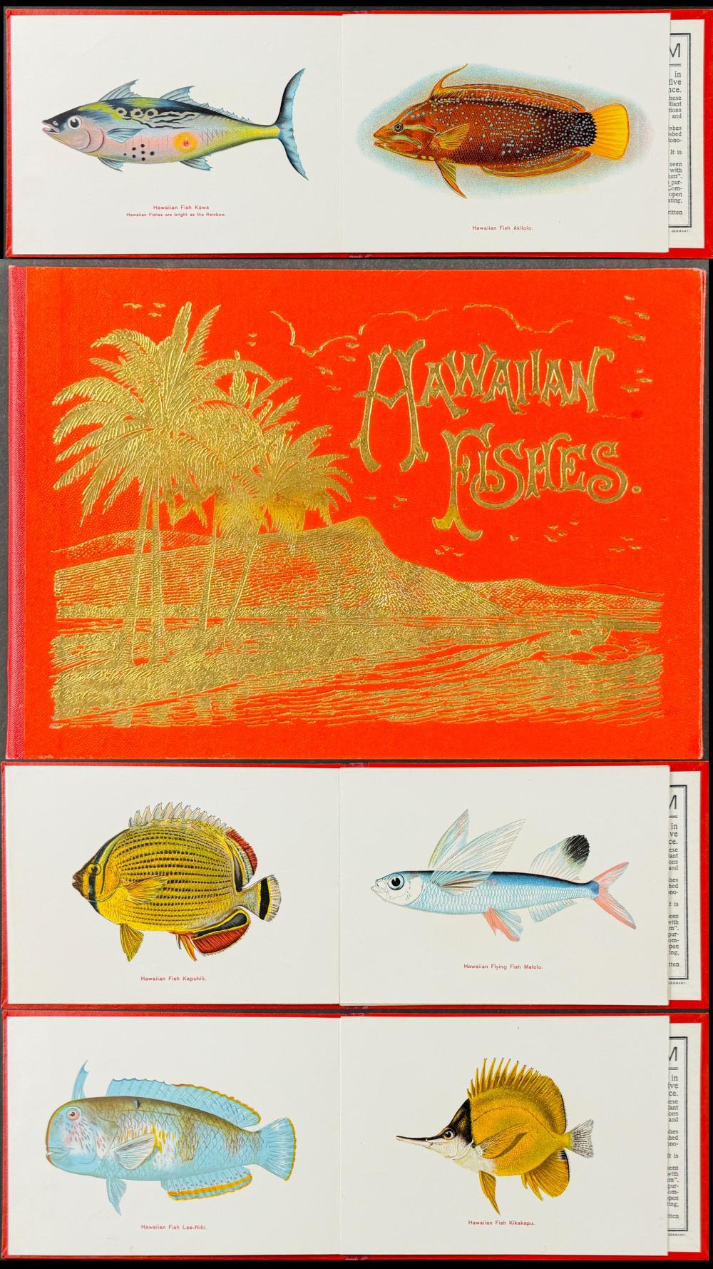 Hawaiian Fishes - Souvenir ... image